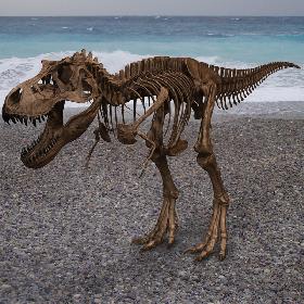 T-rex Skeleton